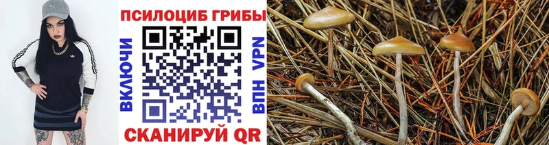 Псилоцибиновые грибы мицелий  Юрга 
