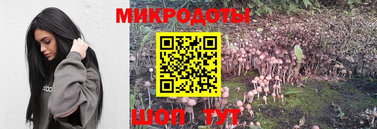 Псилоцибиновые грибы прущие грибы Юрга